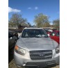 Hyundai 2007 Sante Fe